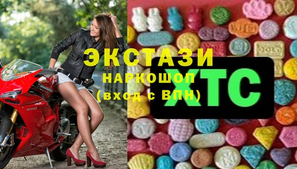 хмурый Алексин