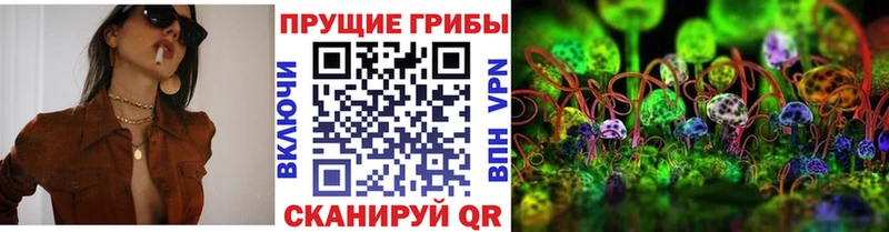 мега ТОР  дарнет шоп  Бабаево  Псилоцибиновые грибы MAGIC MUSHROOMS 
